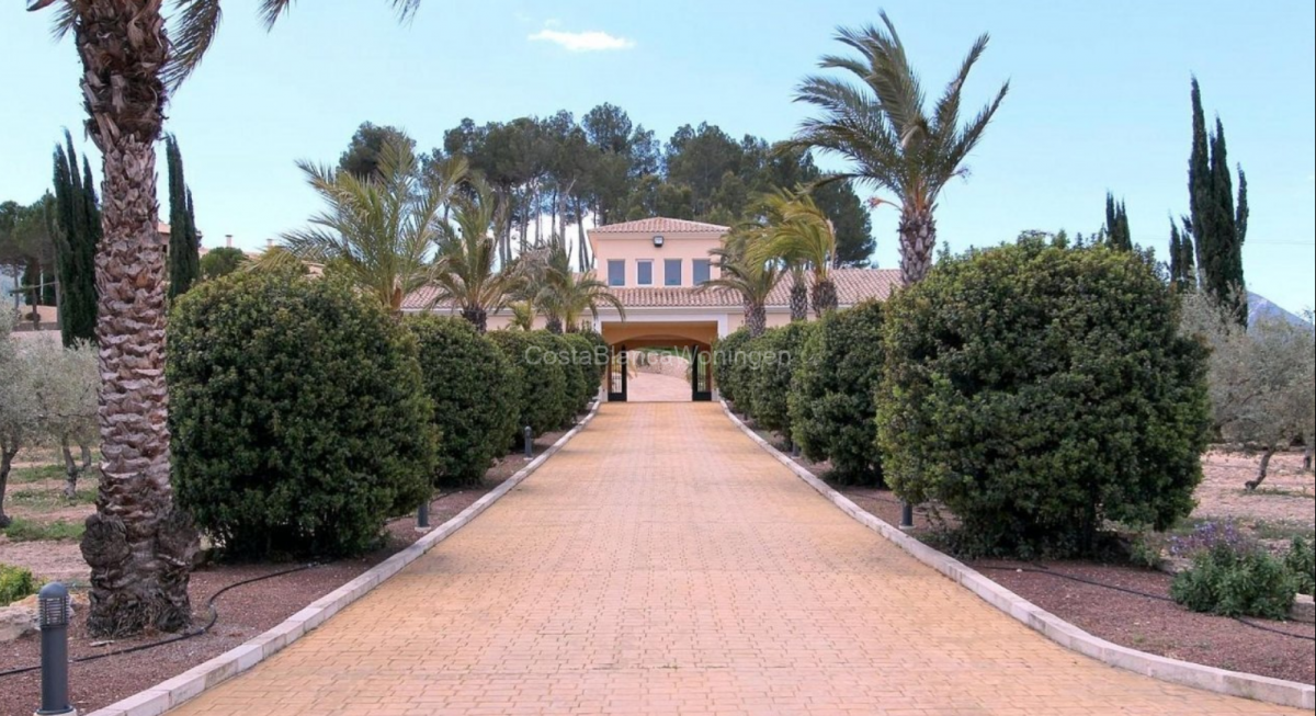 Resale - 6 Bedroom 8 Bathroom Villa in Penàguila - - Alicante Resale - 6 Bedroom 8 Bathroom Villa in Penàguila - - Alicante