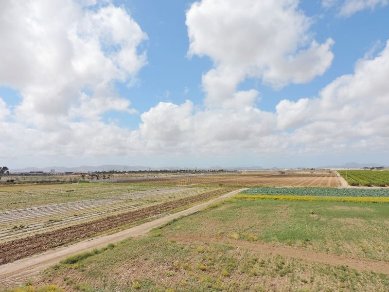 Resale - 3 Bedroom 2 Bathroom House in Torre Pacheco - - Murcia Resale - 3 Bedroom 2 Bathroom House in Torre Pacheco - - Murcia