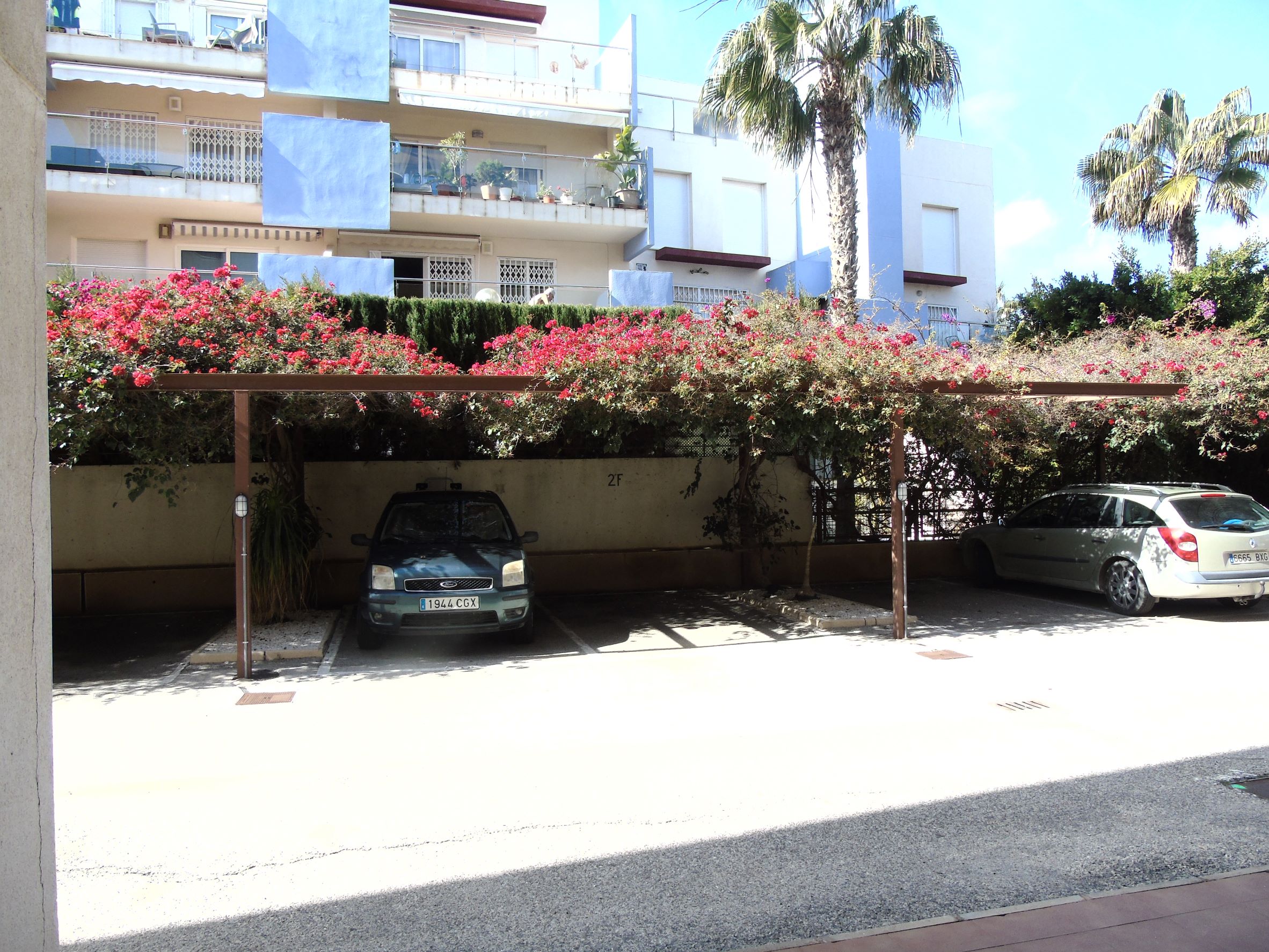 Resale - 2 Bedroom 2 Bathroom Apartment in Cabo Roig - - Alicante Resale - 2 Bedroom 2 Bathroom Apartment in Cabo Roig - - Alicante