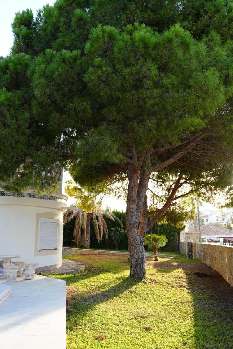 Resale - 3 Bedroom 2 Bathroom Villa in Orihuela Costa - Cabo Roig - Alicante Resale - 3 Bedroom 2 Bathroom Villa in Orihuela Costa - Cabo Roig - Alicante